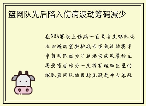 篮网队先后陷入伤病波动筹码减少